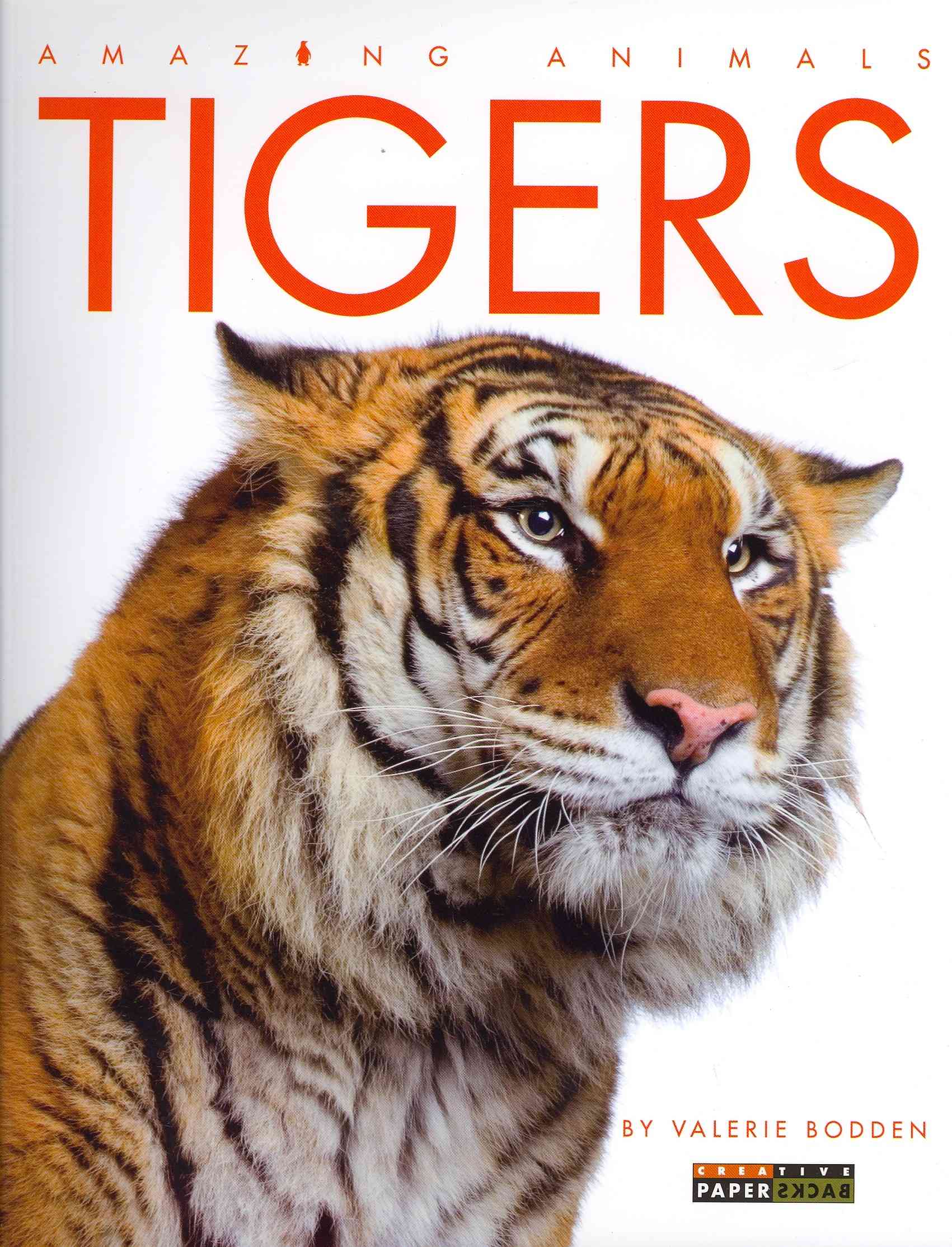 Lions, Tigers, Leopards, Etc.